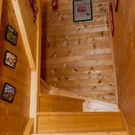 8 Pièces, 16 Pers, Proche Village, Parking, Wifi, Animaux Admis - Fr-1-676-112 Châtel